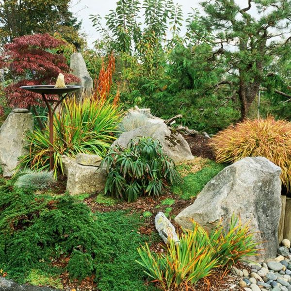 jardinagem com pedras e plantas frescas