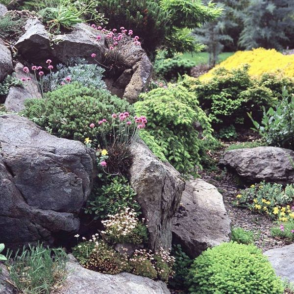 taşlar ve yeşil bitkiler ile bahçe