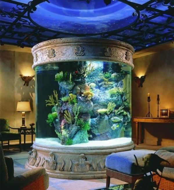 supermoderný nápad pre akvárium - veľká veľkosť