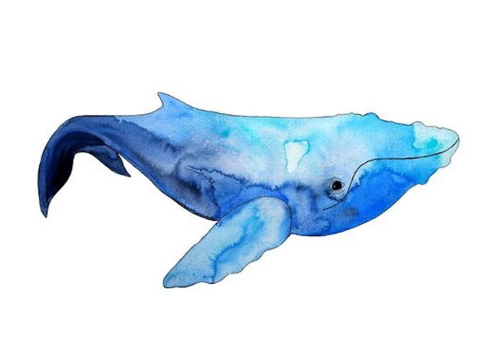 Tatuagens de Aqarell, motivos do oceano, motivos de animais, baleia azul, gotas de água