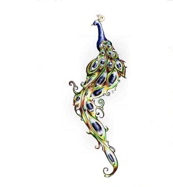 Pavão com cauda de pena verde-azul longa, modelo de tatuagem, pavão azul
