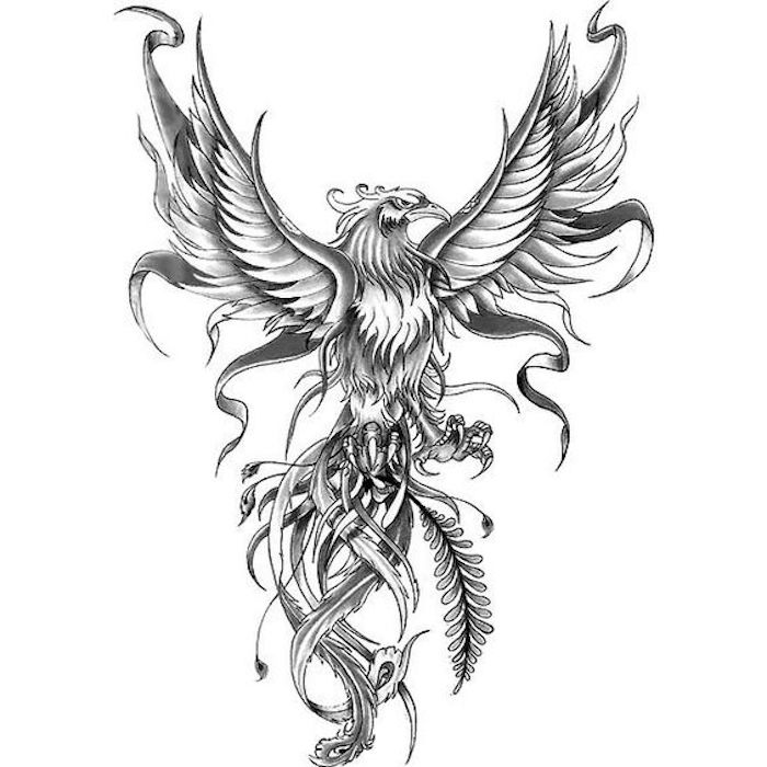 Modelo para tatuagem de águia, asas estendidas, poder, símbolo de poder