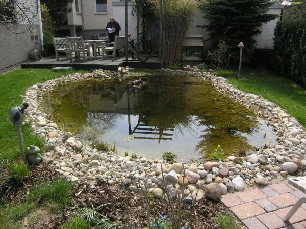 foto prima lagoa de plantas