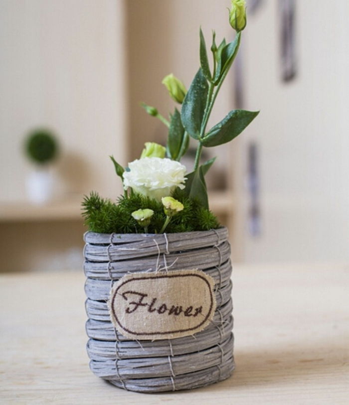 mini blomkrukor vit blomma i speciell kruka mini låda kan för vackra blommor deco idéer