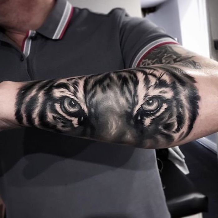 tiger hlava tetovanie, šedé tričko, muž, paže, rameno tetovanie