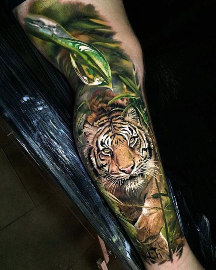 tetovanie hlava tetovanie, farebné tetovanie, listy, tiger