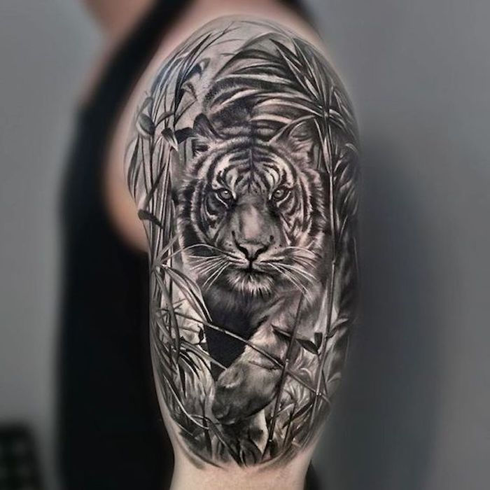 tatuagem de cabeça de tigre, homem, braço superior de tatuagem, tatuagem de butarm