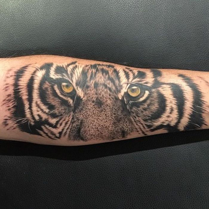 tatuagem de cabeça de tigre, tatuagem de braço, tatuagem de braço, olhos de tigre, olhos