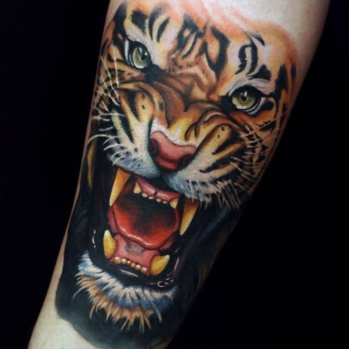 tatuagem de cabeça de tigre, perna, beintattoo, tatuagem colorida