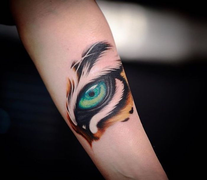 tatuagens de tigre, tatuagem de braço, olho verde, olho de tigre