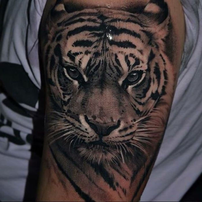 tygrové tetovanie, horné rameno, tetovanie na hornej časti ramena, biele tričko