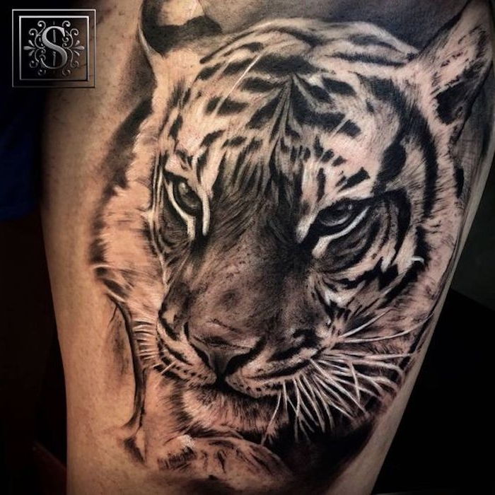 stehno tetovanie, čierne a biele tetovanie, tigerová hlava