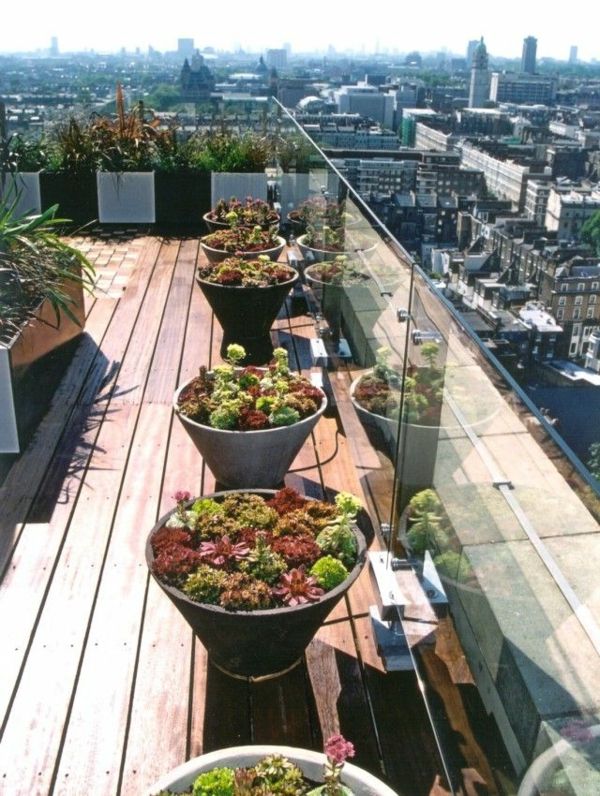 fresco idéia-para-o-design-a-rooftop-com-plantas
