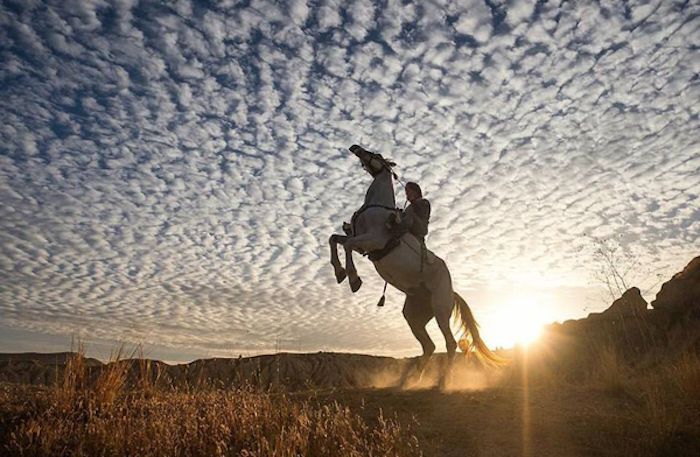 blå himmel med hvite skyer, en rytter og en hvit vill hest i solnedgangen, om temaet hest bilder og vakre hest ordene