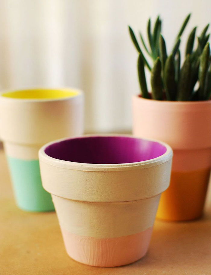 tre vasi di argilla di diverse dimensioni, vasi per piante, piante grasse