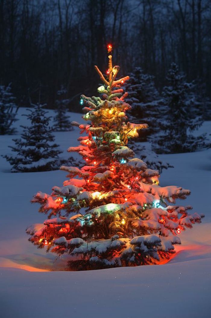 Unikátne vianočný strom deco-by-vonku