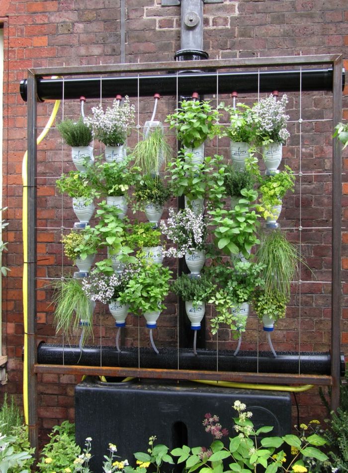 Construiți-vă propriul perete de plante - cum să iriți cu ușurință totul cu sticle