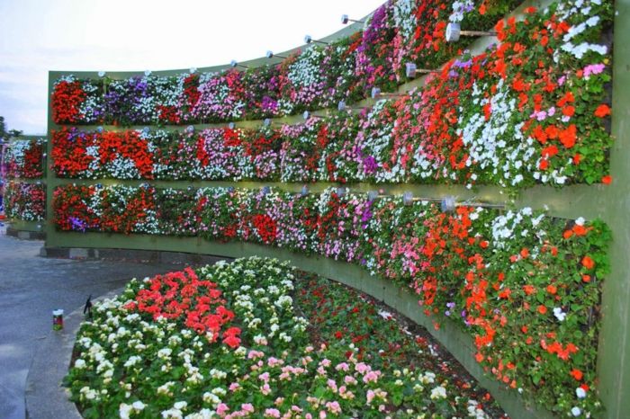 grădină verticală cu multe tipuri diferite de flori pe perete rotunjit