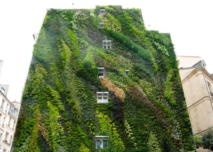 întregul bloc de apartamente este o grădină verticală în nuanțe de verde