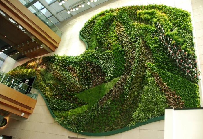 o instalație de artă a speciilor de plante, cum ar fi grădina verticală - mușchi prea
