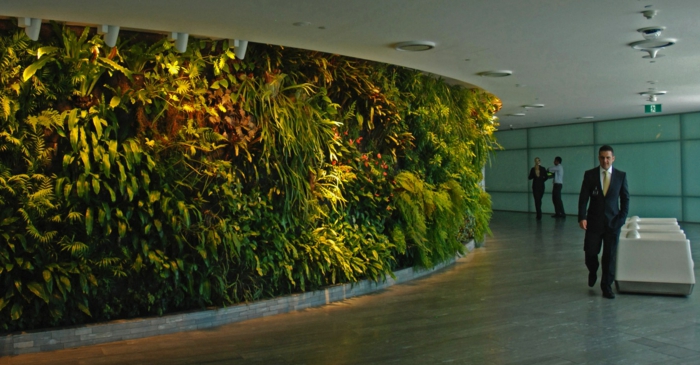 vertikala växter - en promenad som i naturen på kontoret