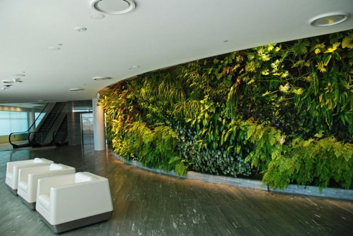 Plantering vertikalt - du behöver också mycket grönska i korridoren av offentliga byggnader