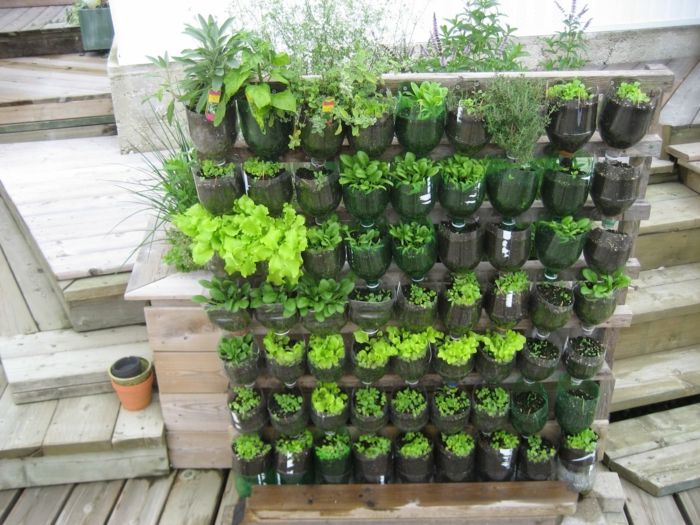 Bygg växtväggen själv - DIY projekt med flaskor - lätt att vatten