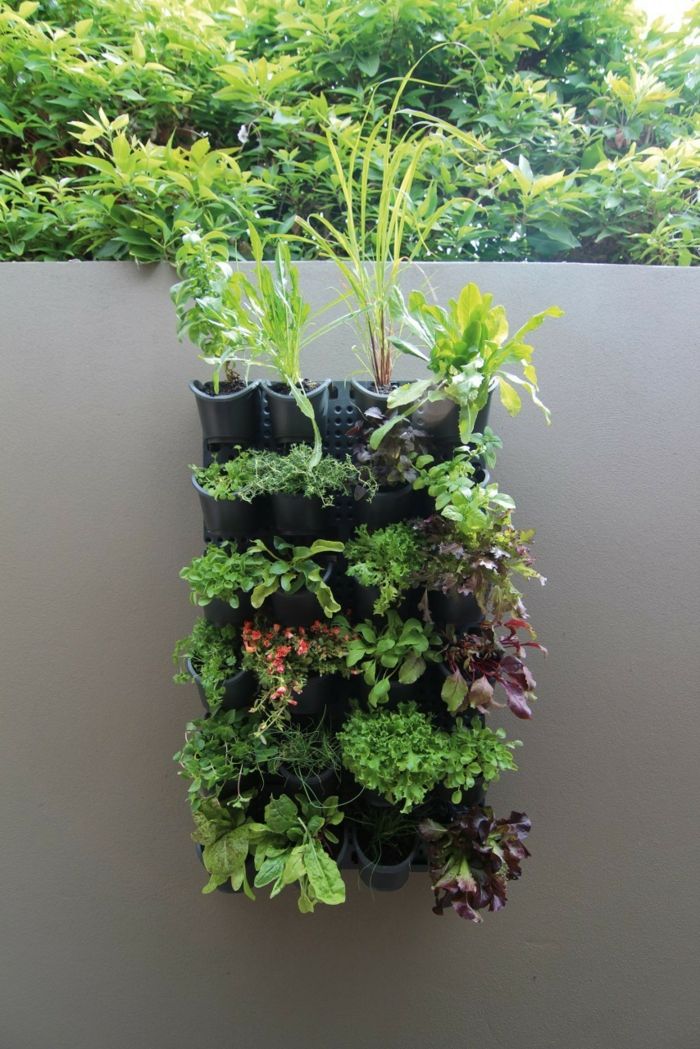 svart vägg med några inbyggda blomkrukor - plantera väggen själv