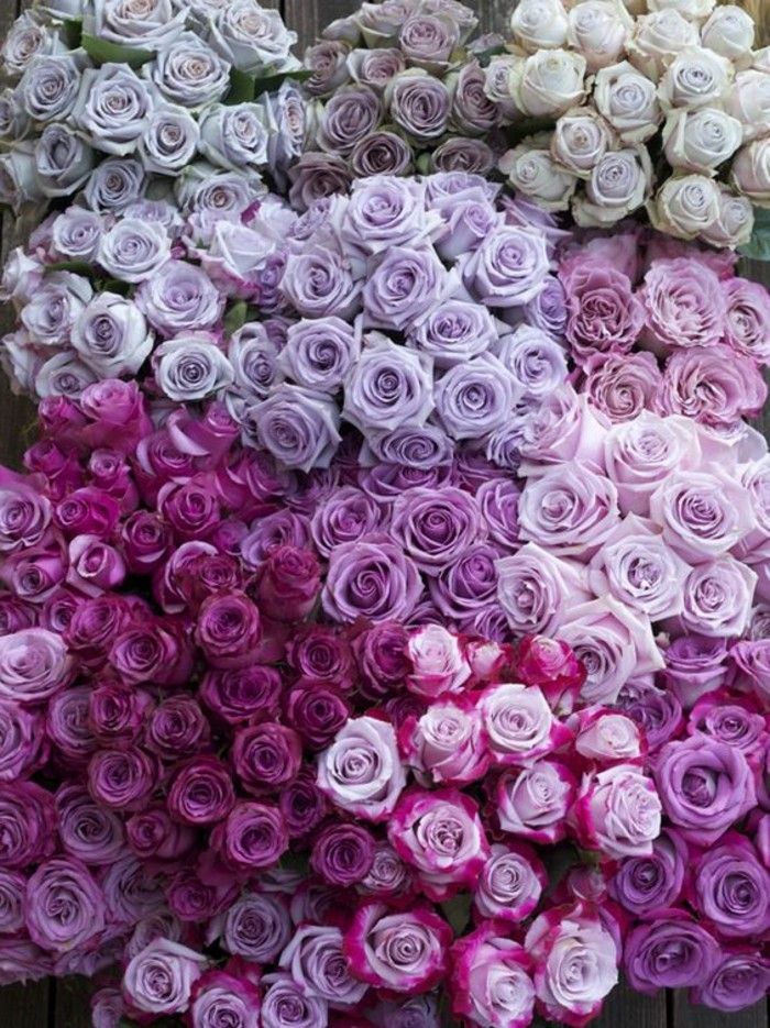 veliko-Šopki za vrtnice-v-sladki barve