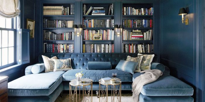 Vintage dnevna soba v temno modri, omare z veliko knjig v njej, dekorativne blazine, dve majhni mizi