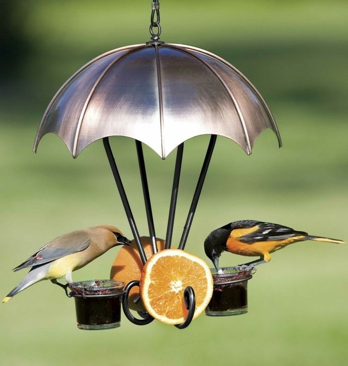 kreativ fuglhus, paraply laget av tinn, to kopper, full av syltetøy, to stykker oransje, to små fugler
