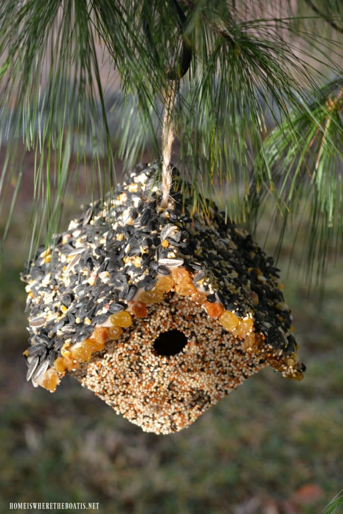 Podávajte vtáčie krmítka pre samotné vtáky, držte so semenami, slnečnicovými semienkami a hrozienkami