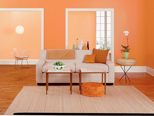 harika duvar renk kayısı duvar tasarım oturma odası
