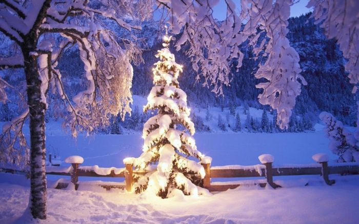 Vianočný strom s osvetlením-externým osvetlením