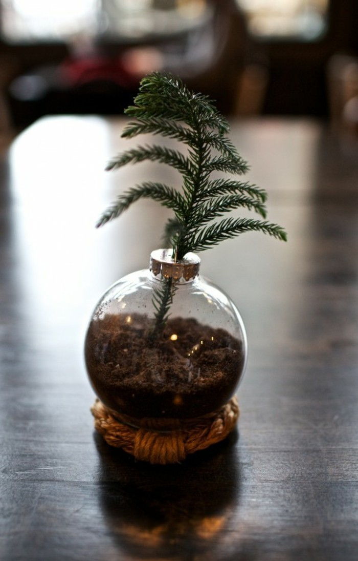 Kalėdų-Craft-idėjos-mažas-dekoratyvinis-augalų
