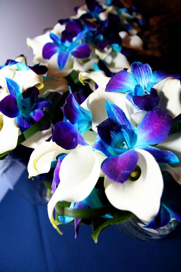 bela lilija-modra Orchid Hochzeitsdeko-hochzeitssträße-