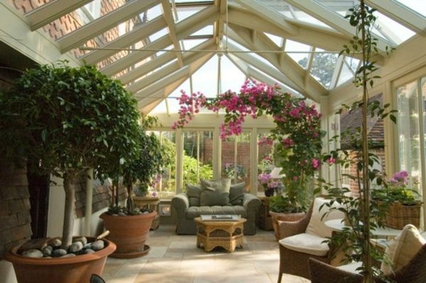 Come-träd gör det rummet anläggning i Winter Garden i blomkruka conservatory-