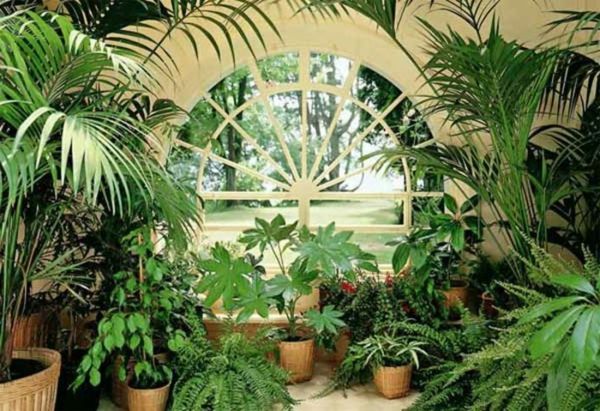 vinterträdgård design-med-palmer