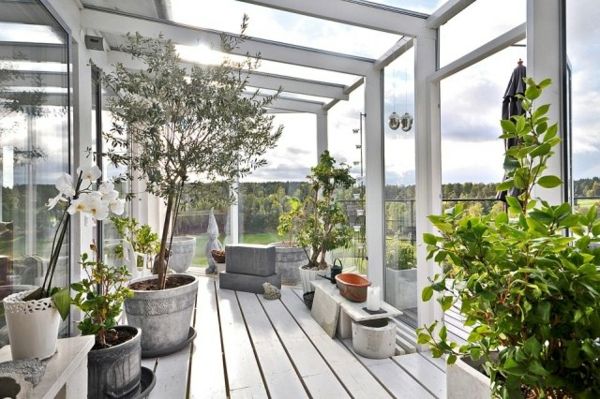 Winter Garden-Design-idéer-växtoliv orkidé-skandinavisk stil-vinterträdgård-make