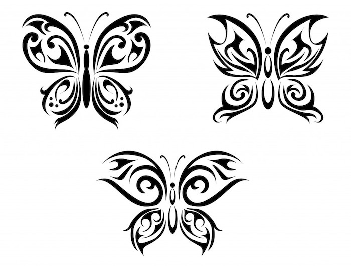 Pažvelk į šias tris puikius ir labai gražius, juodus sparnus, juodus skrainingus drugelius