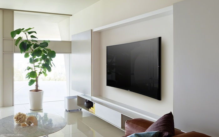 tv-panel på den hvite veggen veggen design veggfarge hvit svart tv grønn plantepalme i rommet