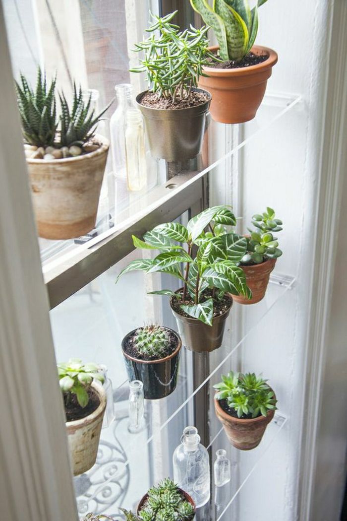 Živé nápady Obývacia izba: Dekorácia okien so sukulentmi a inými rastlinami na sklenenej poličke