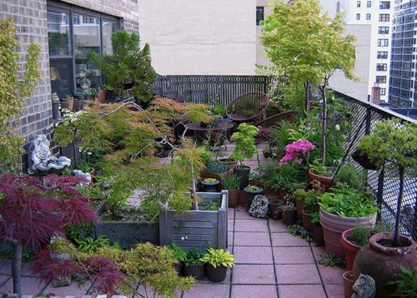 nádherná záhrada-terasa dizajnu Design