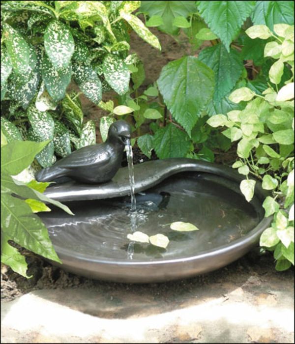 čudovit vodnjak-sončno-in-vrt-goloba