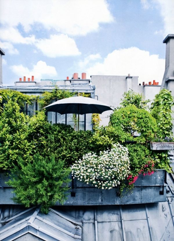 Design frumos terasă cu grădină