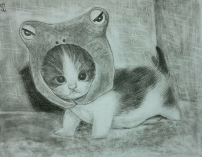 desenhos-com-lápis-a-little-gato