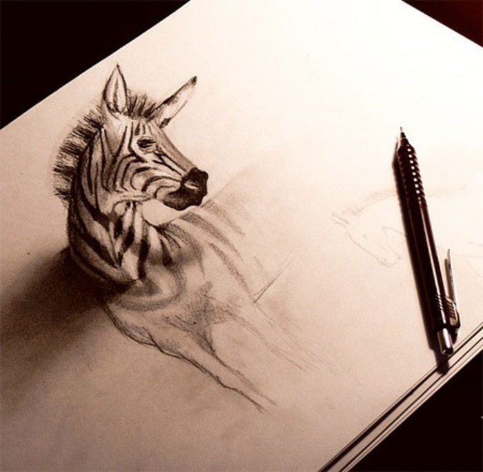 -desenhos com-lápis-a-zebra