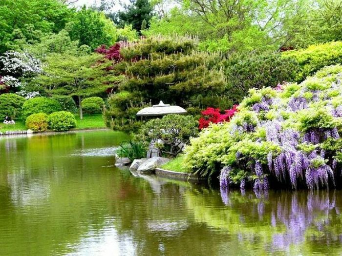 zen-garden-japonský Buenos-aires Lake
