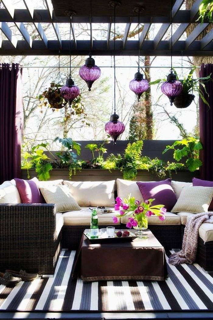 violetinė gyvenamasis kambarys, įkvėptas Saintpaulia - augalai tamsiems kampams