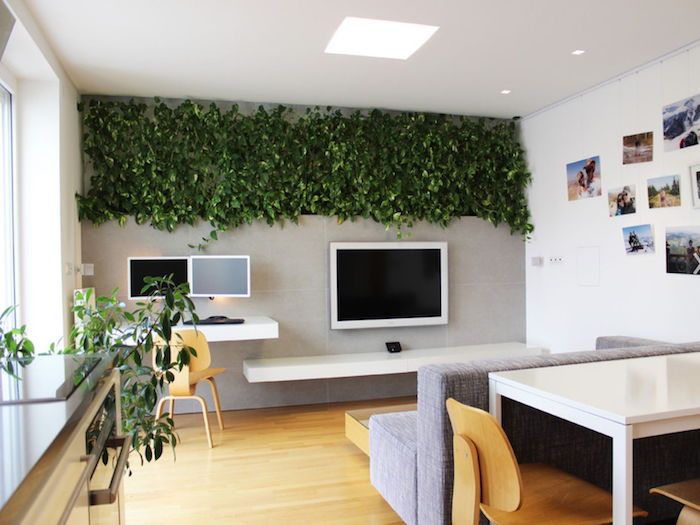 kompaktiška svetainė, studija ir valgomasis su ivy decorating houseplants shady